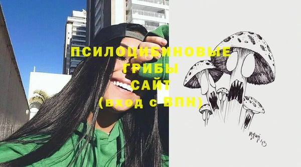хмурый Корсаков