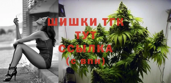 хмурый Корсаков